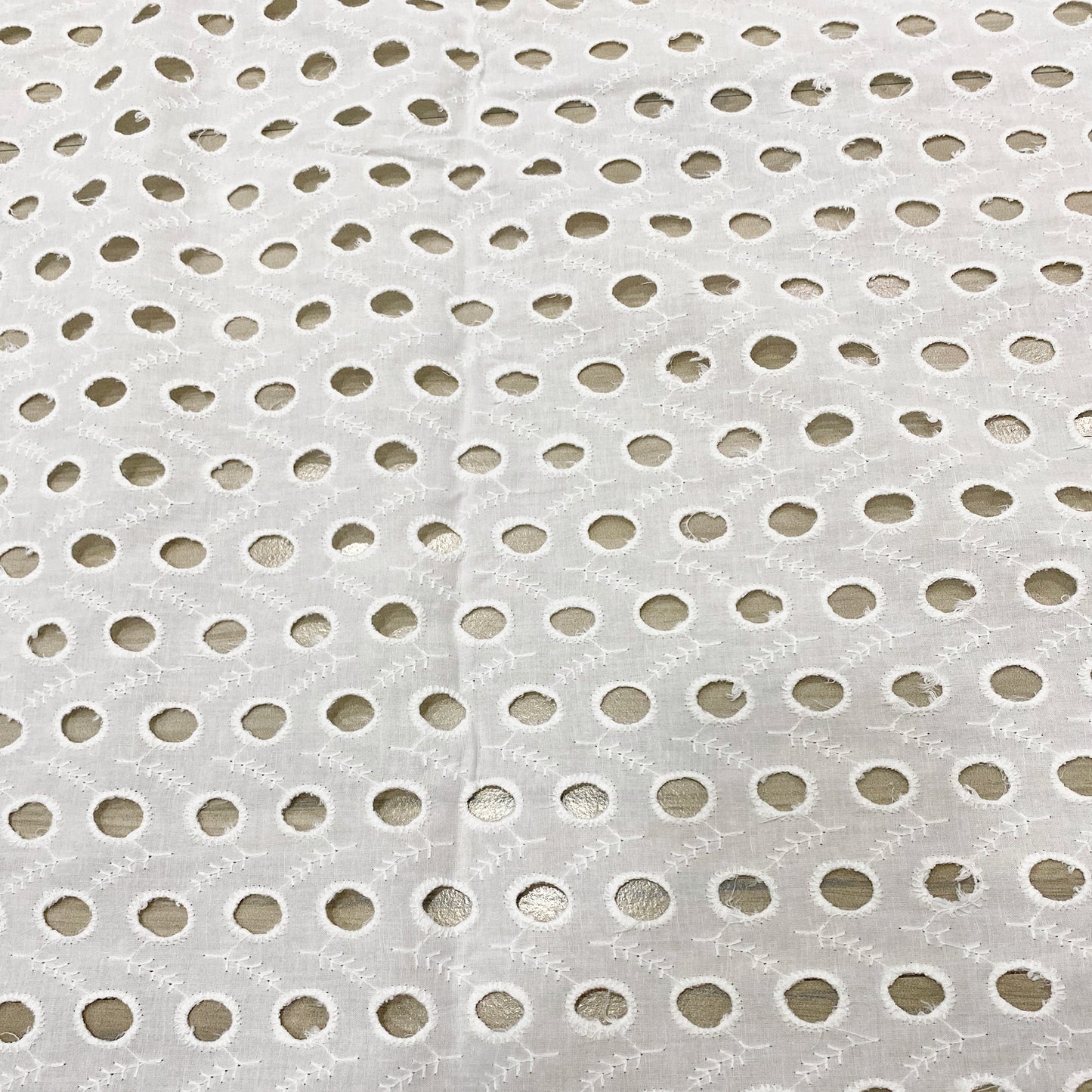 Dyeable Cutwork Hakoba Schiffli Fabric