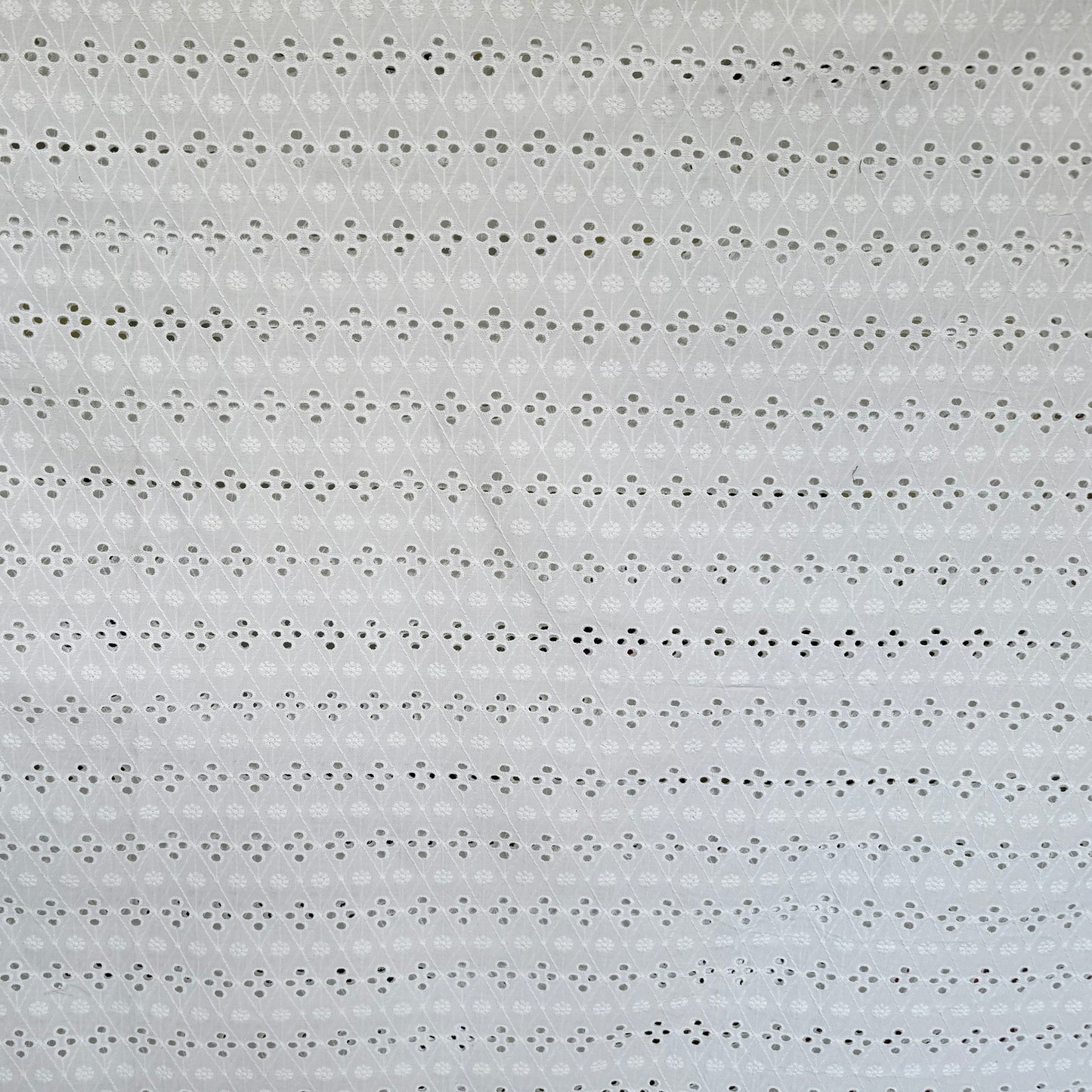 white cutwork hakoba schiffli fabric online