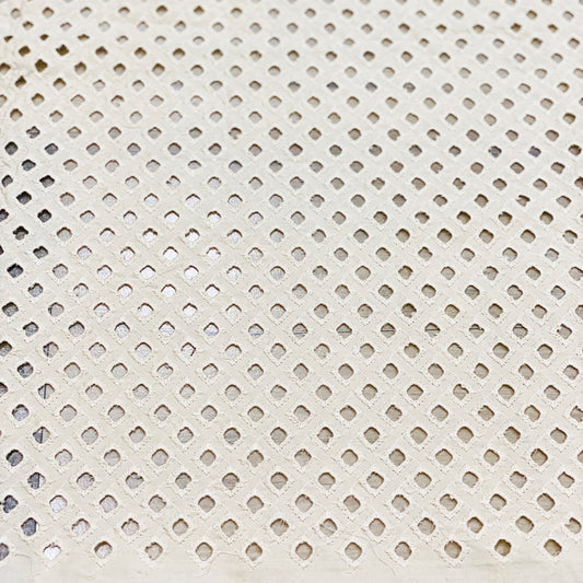 Intricate Jal Work Eyelet Fabric