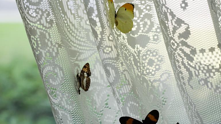 beautiful white net and lace curtains for home and office