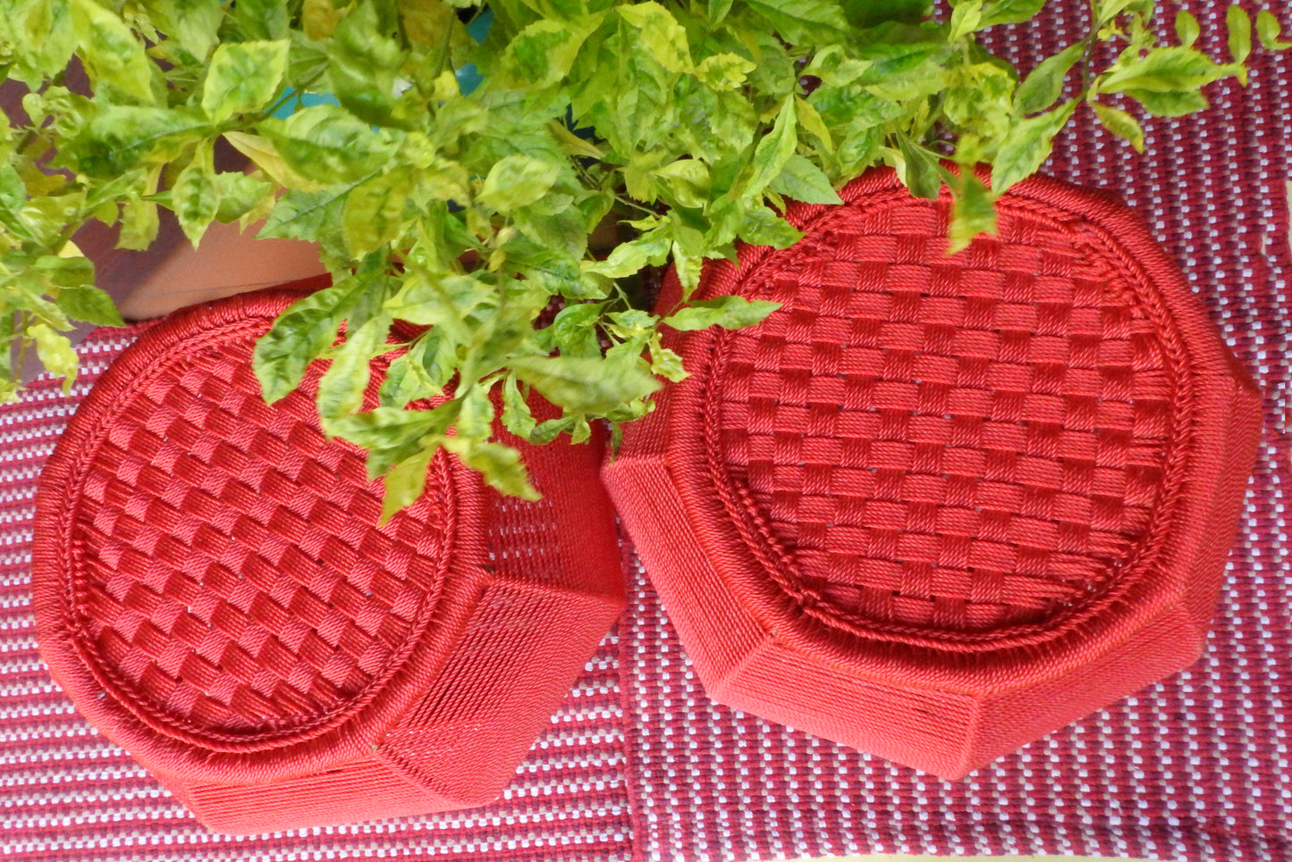 Red Chilli Mudda Seats (Twin Set)