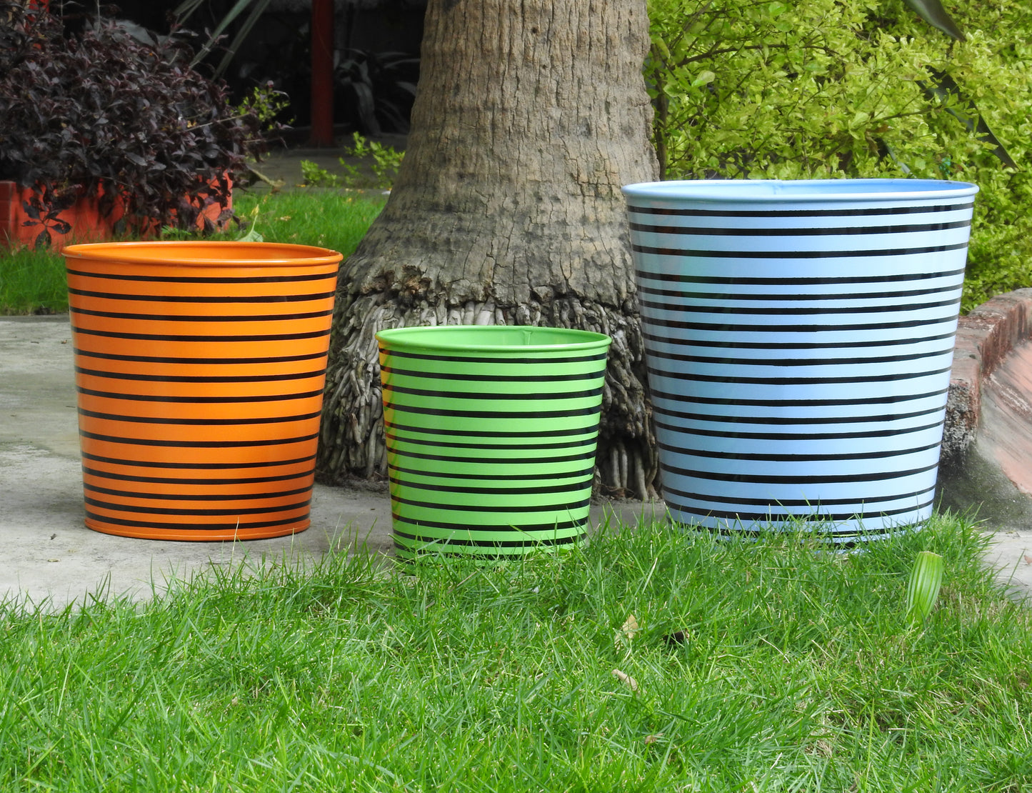 indoor-plant-pots-online-bangalore