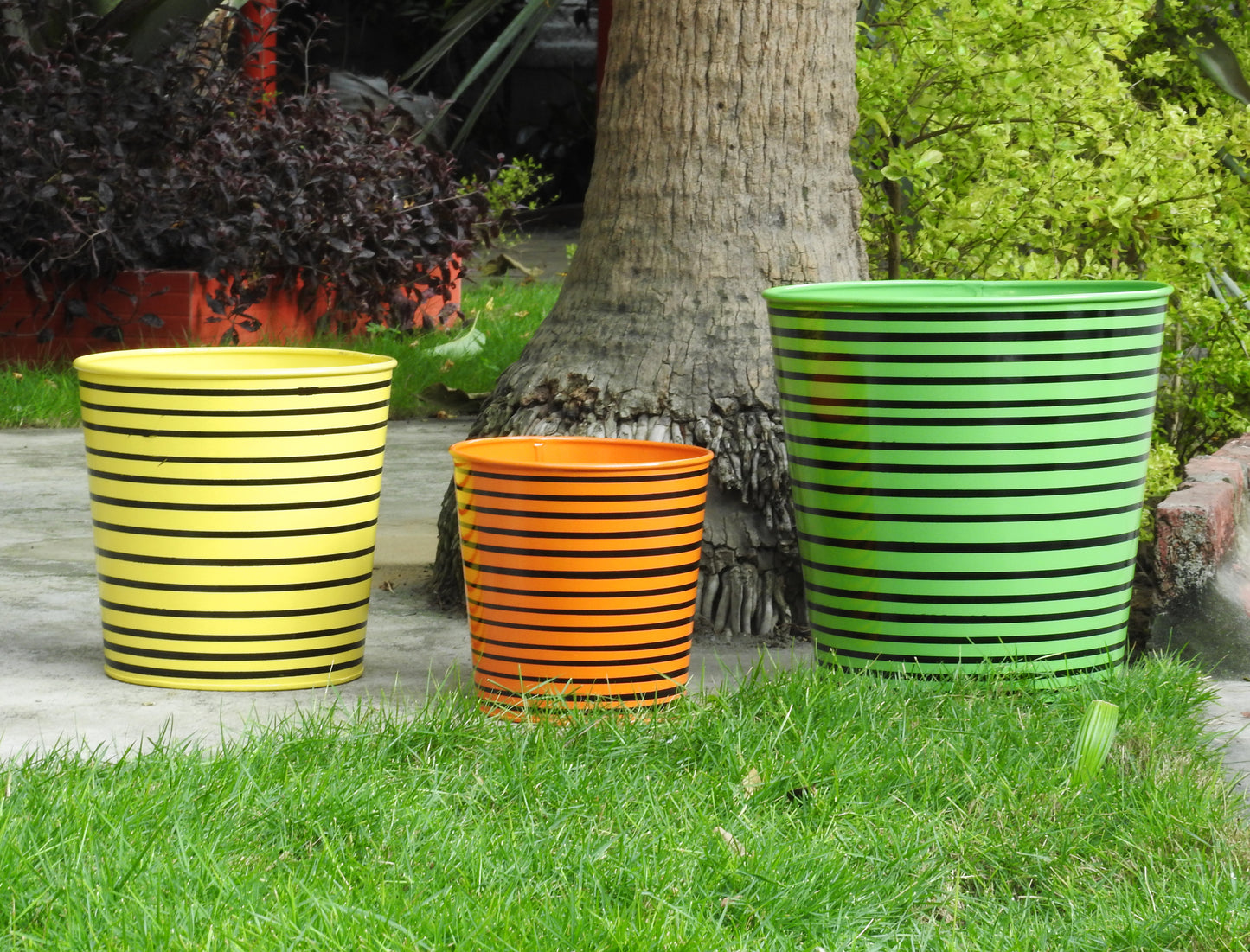 Parallel Lines Planters- Set of 3.