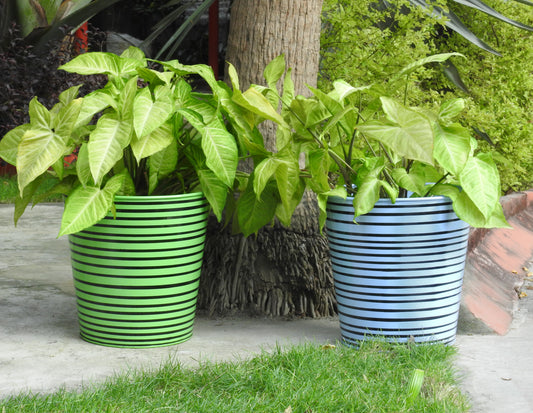 unique-metal-planters-colourful-india