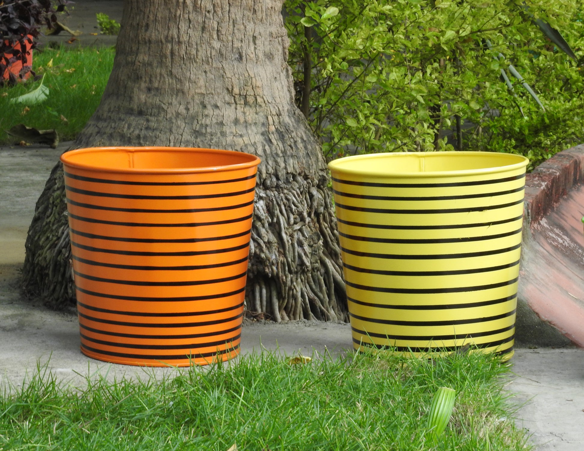 coloured set of planters bangalore india