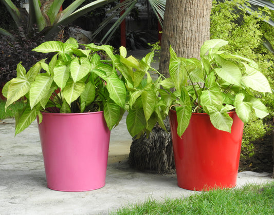 metal-planters-online-india