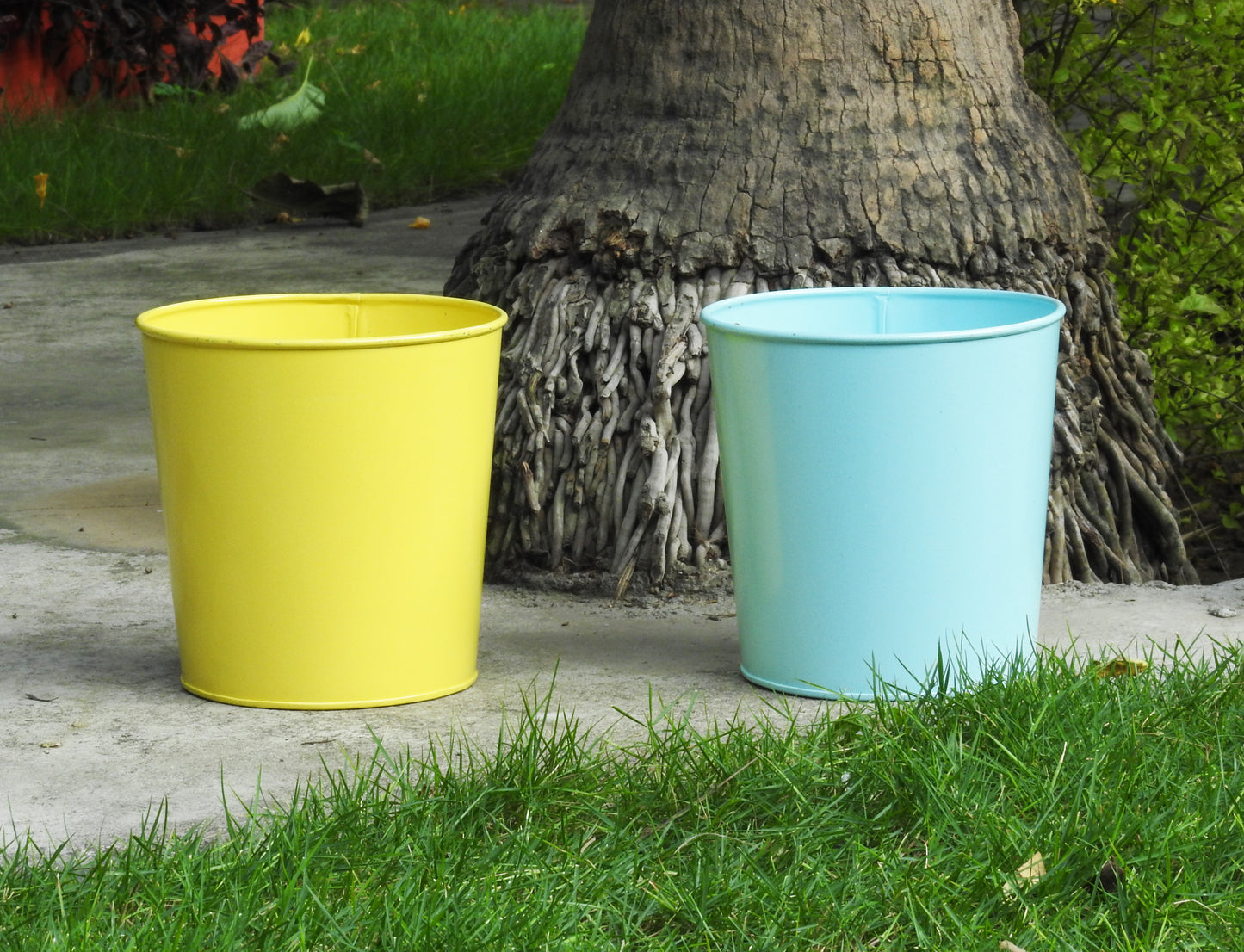 planters-for-houseplants-bangalore