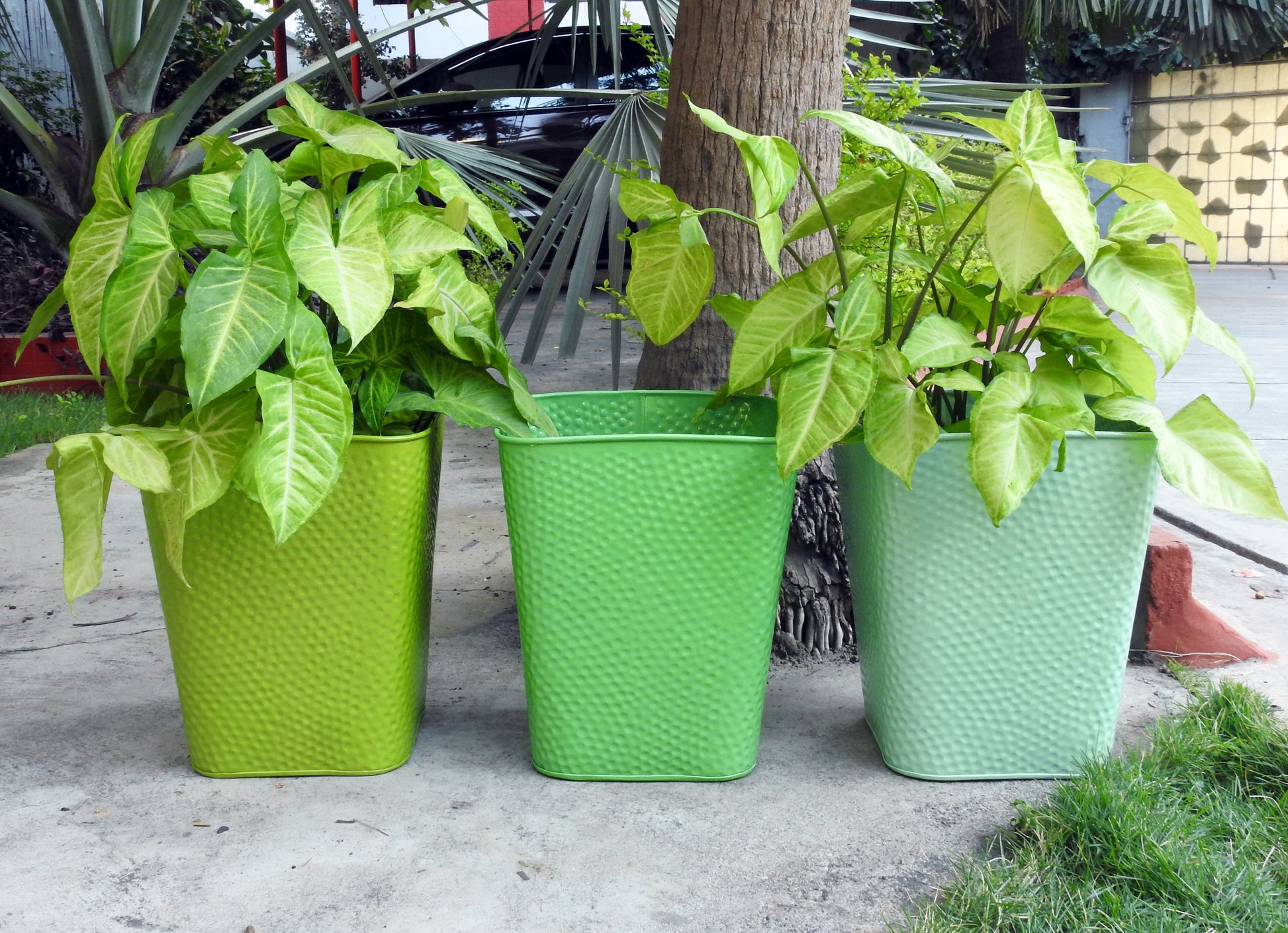 handpainted-colourful-pots-for-plants-online-india