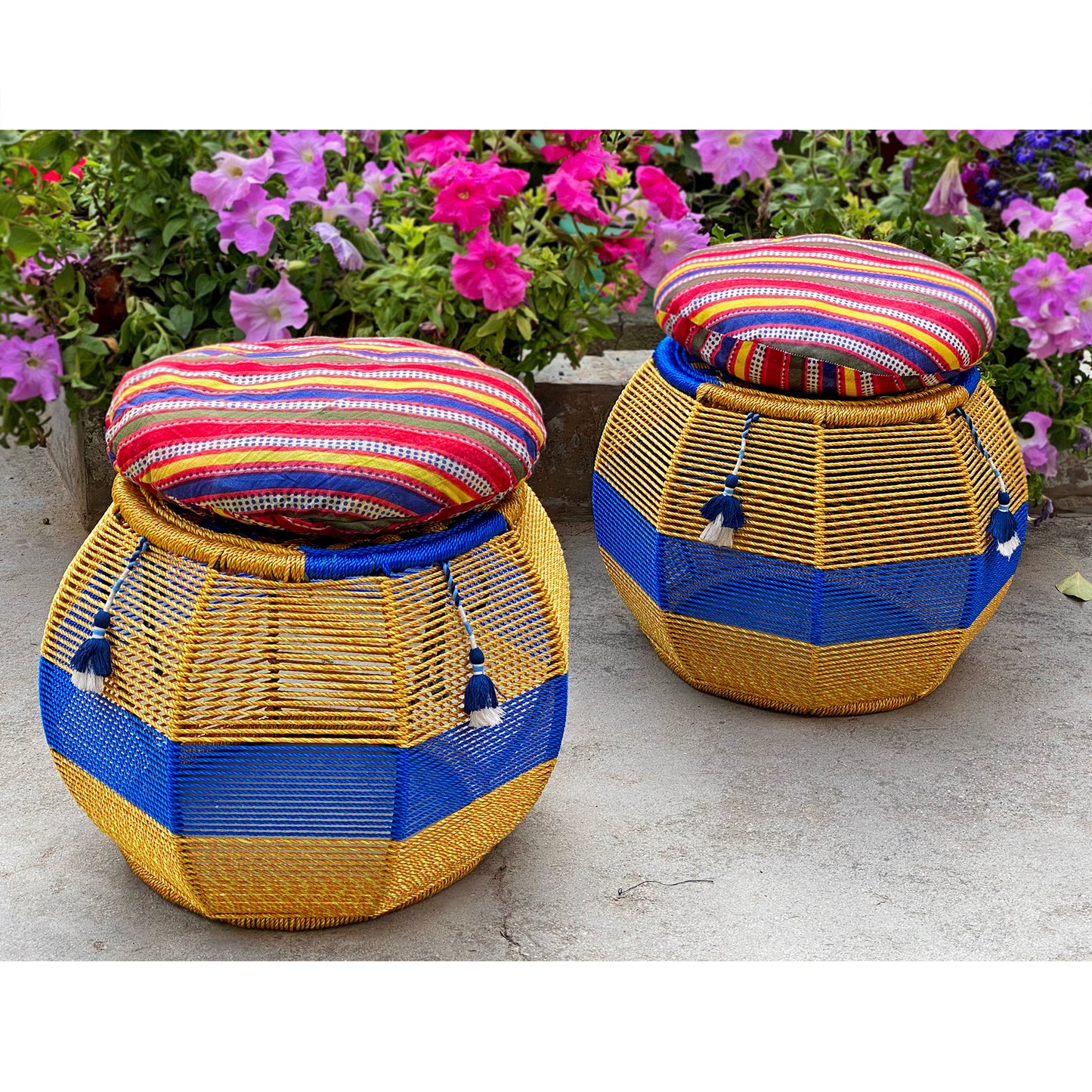 Eclecta Cushy Festive Seat (Twin Set)