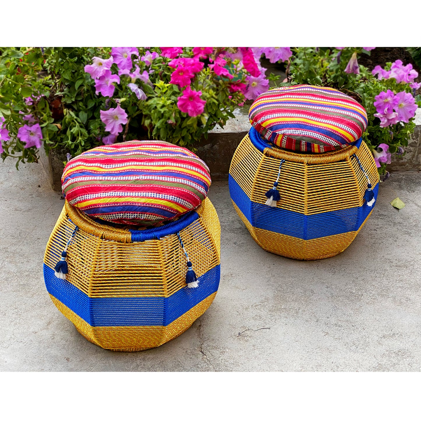 Eclecta Cushy Festive Seat (Twin Set)