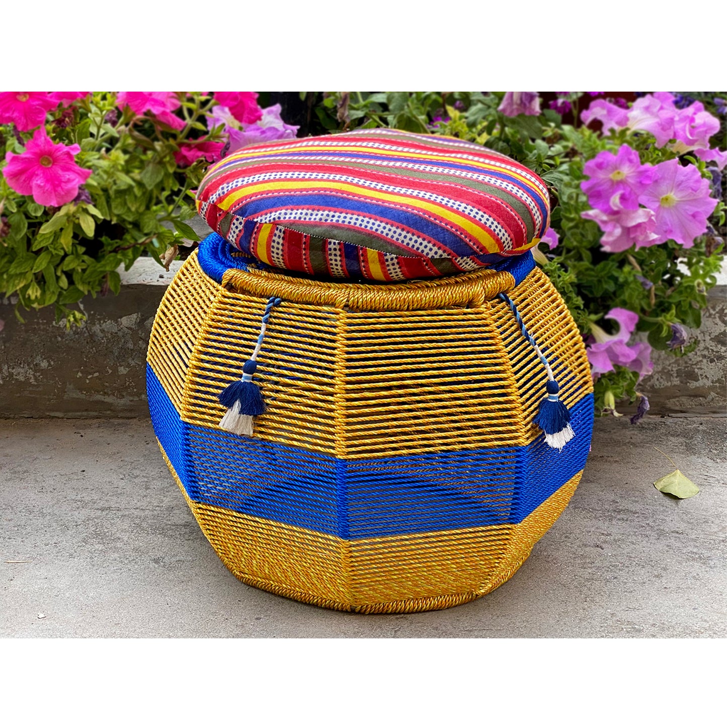 Eclecta Cushy Festive Seat (Twin Set)