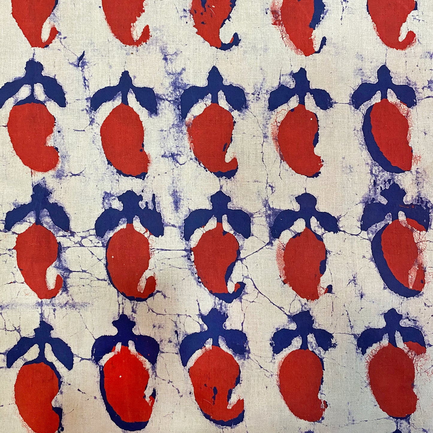 Cotton Block Paisley Print Fabric
