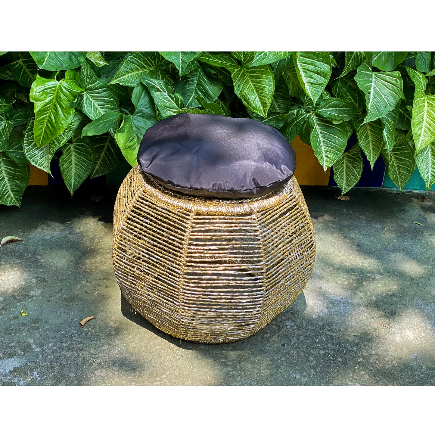 golden-mudda-for-outdoors