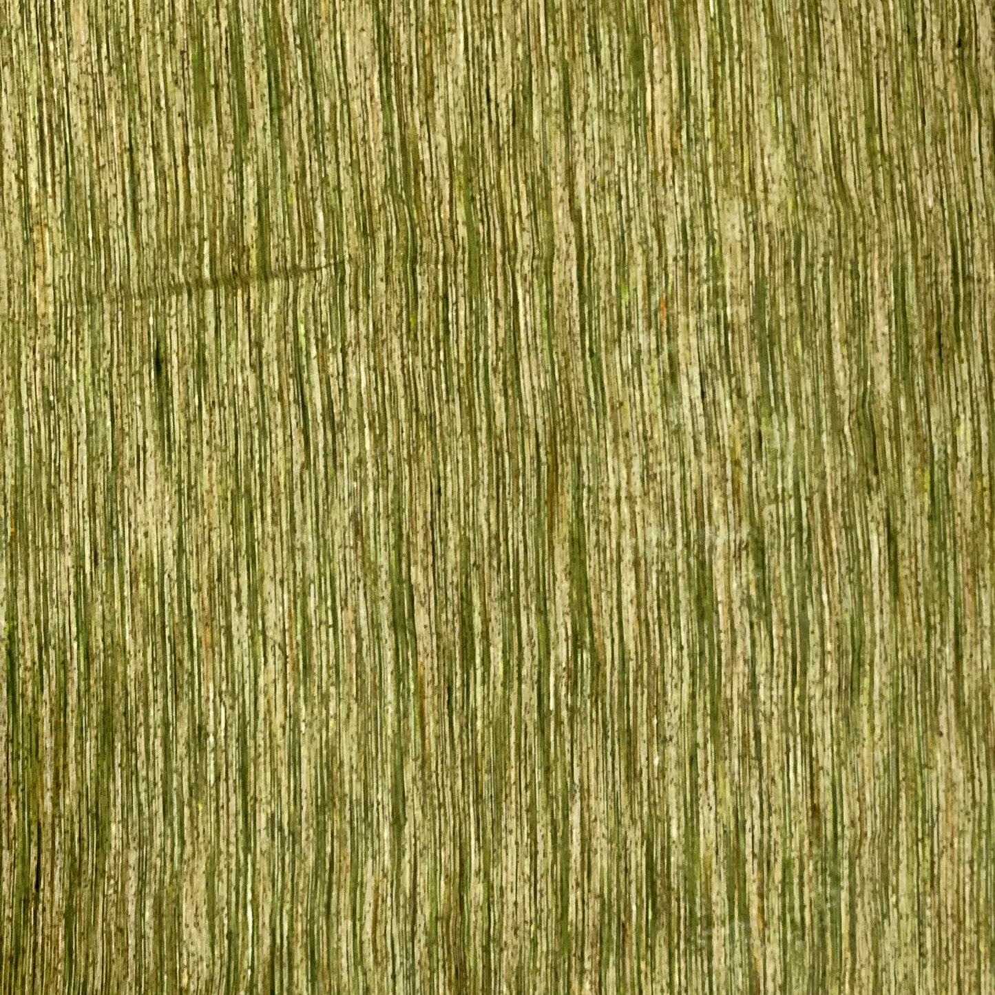Bottle Green Chanderi Fabric