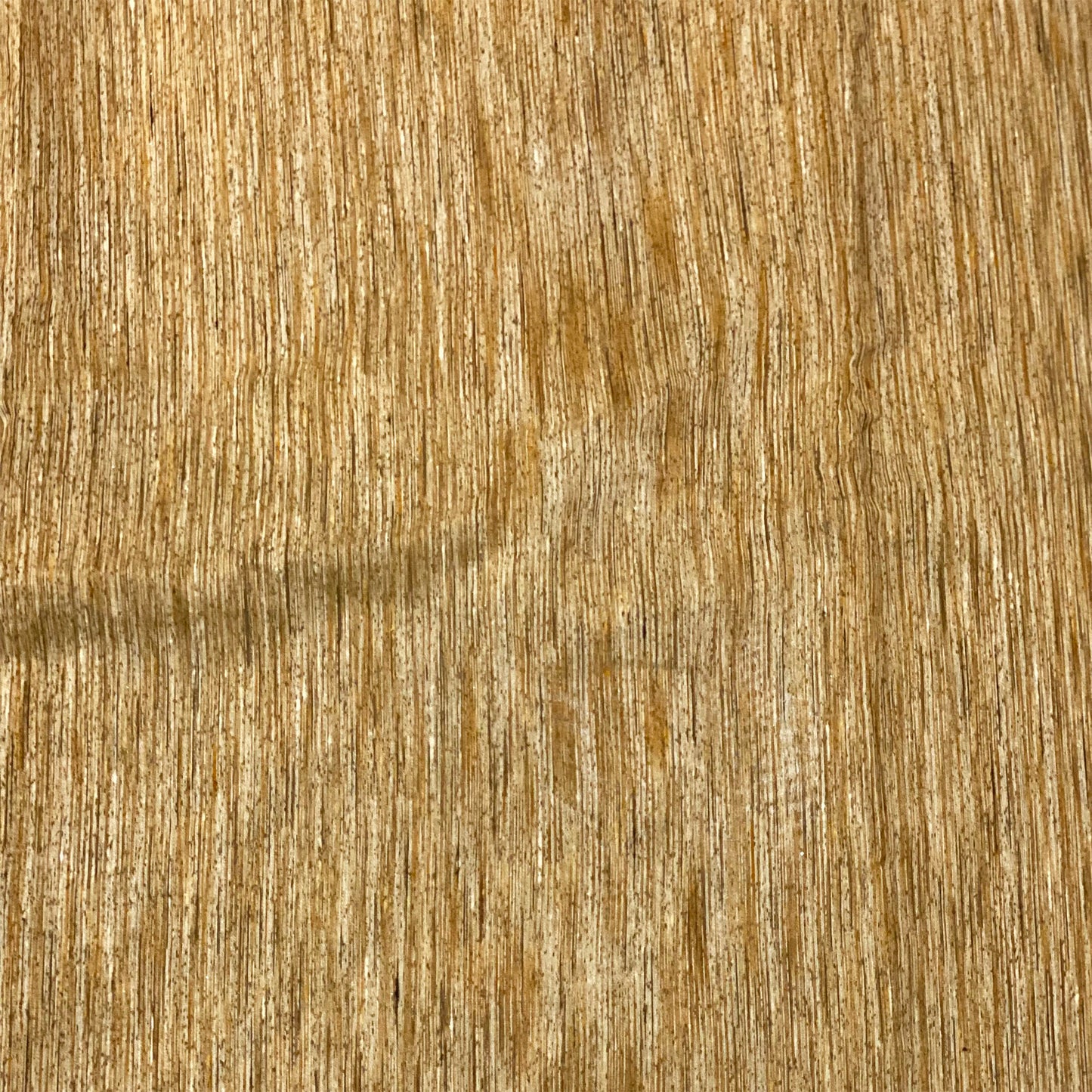 Golden Beige Chanderi Fabric