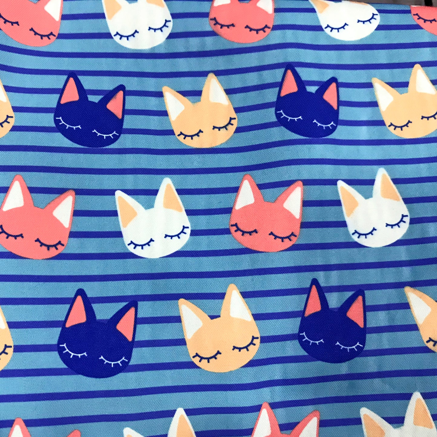 Sleepy Kitty Shorts With Pockets