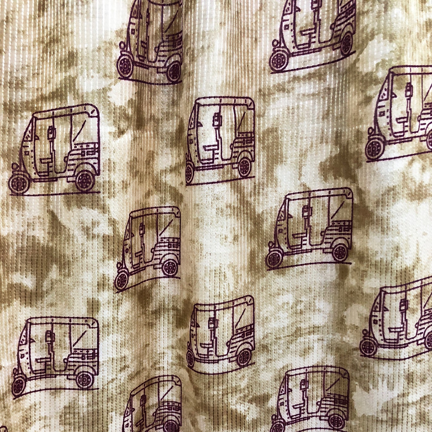 Tusser Kantha Autorickshaw Print