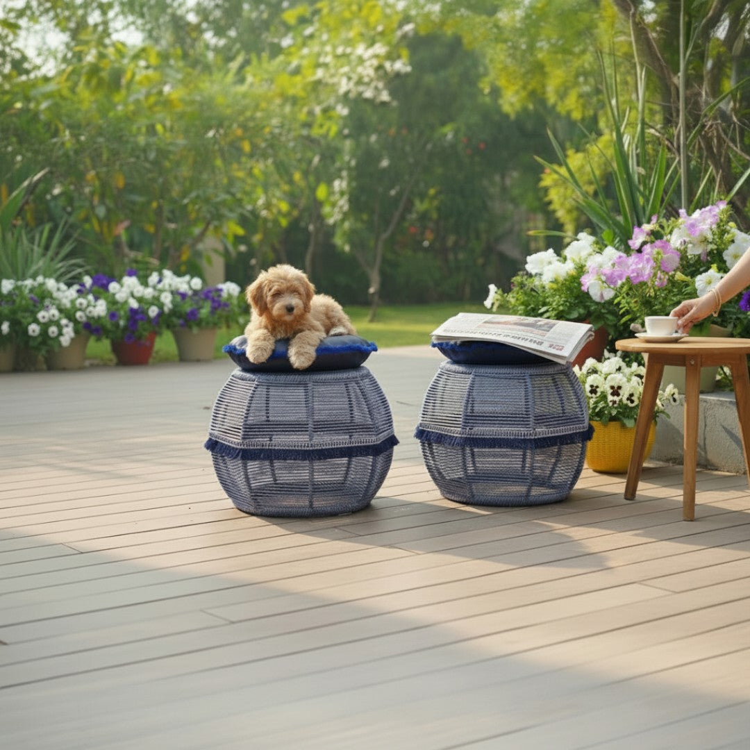 Dainty Glory Cushy Seats (Twin Set)