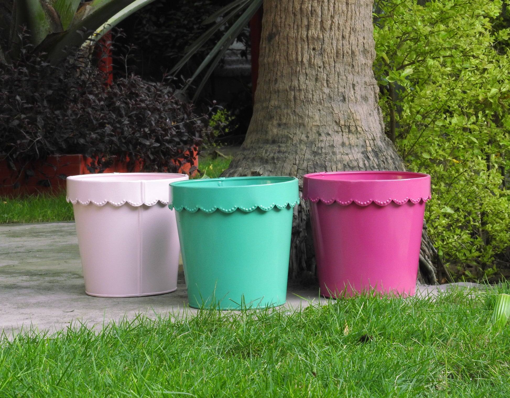 colourful-pots-for-indoor-plants-online-india