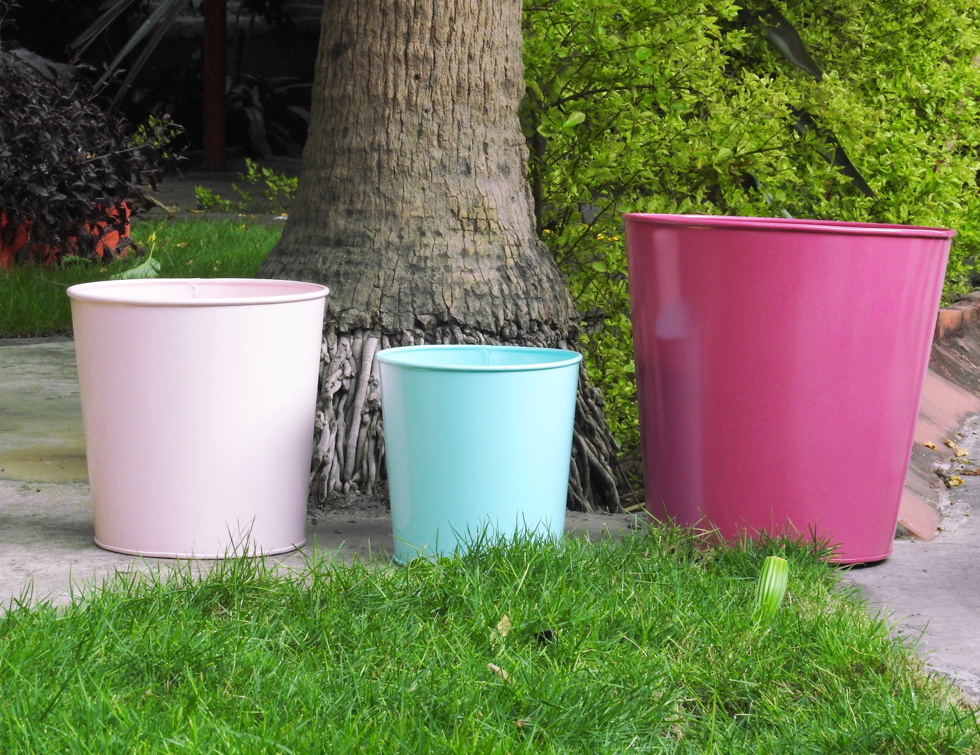 colourful-planters-online-india-cheap-price