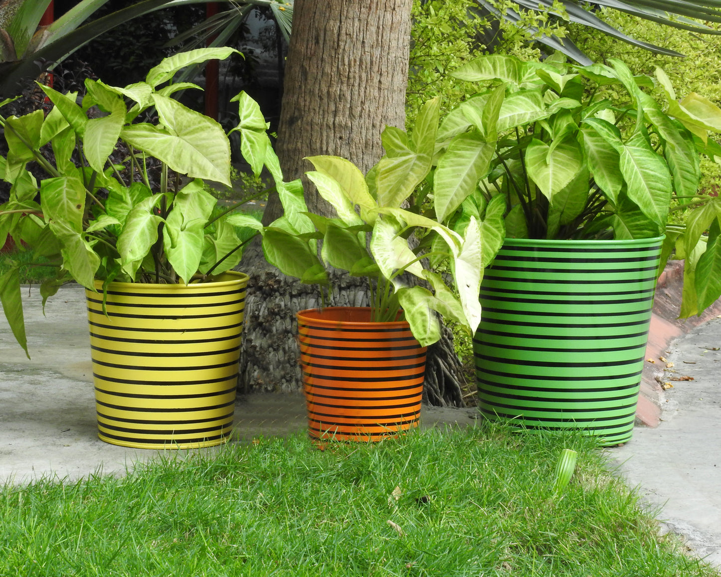 Parallel Lines Planters- Set of 3.