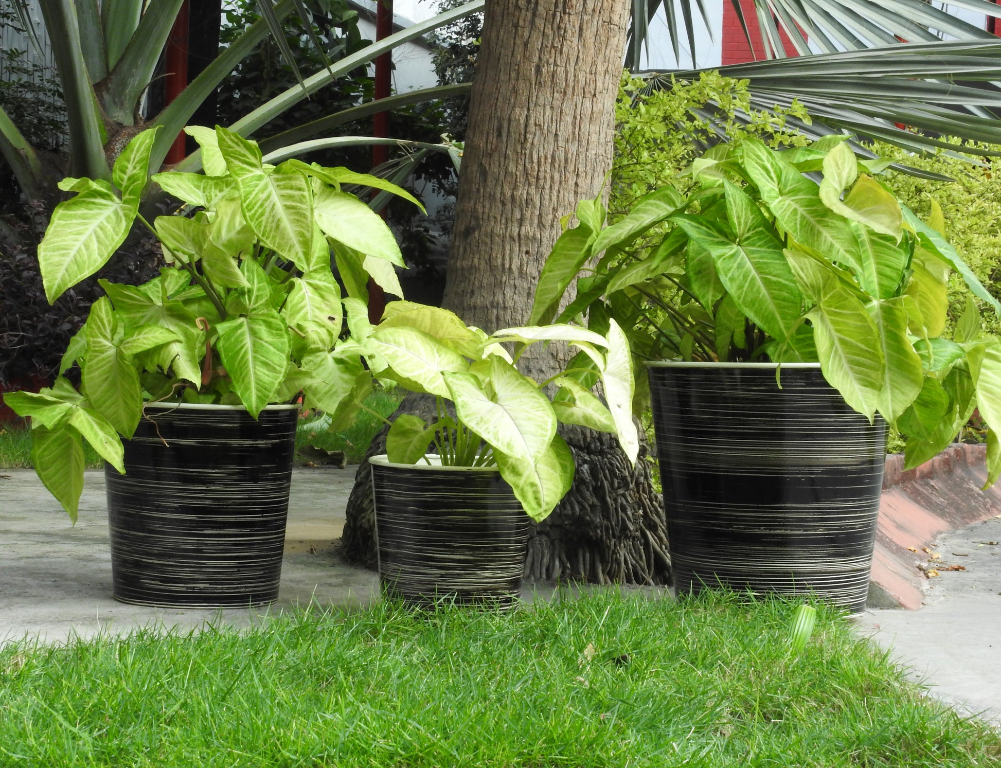 metal-pots-and-planters-online