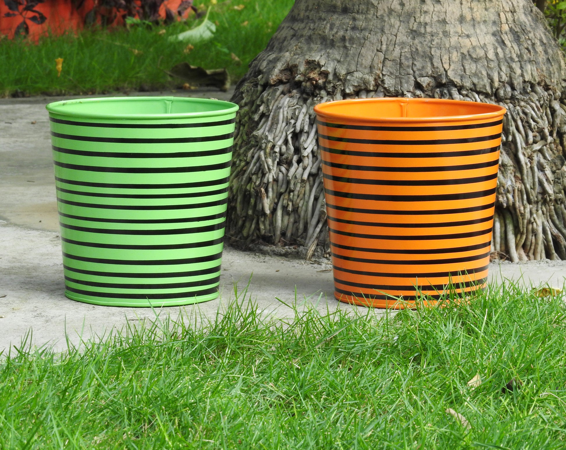 plant-pot-containers-online-india