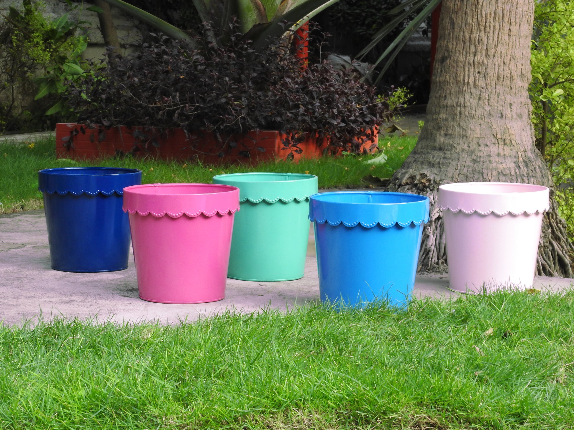colourful-planters-and containers -for-garden-and-indoors
