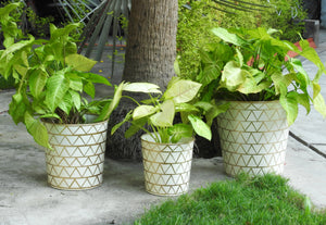 gold-and-white-metal-planter-online-India