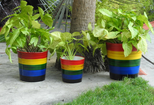 vibrant-metal-planters-and pots-for-home