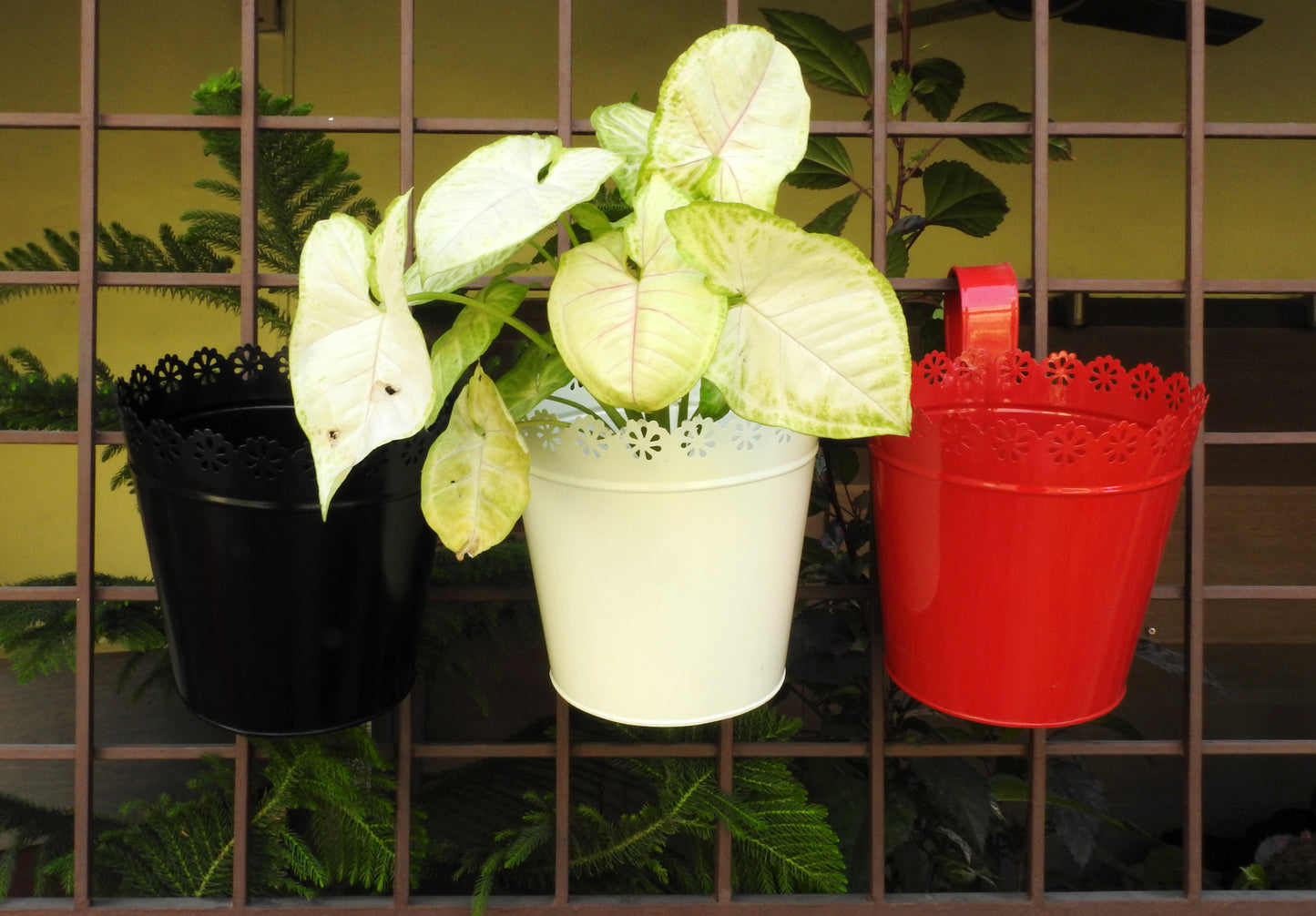 set-of-indoor-planters-with-drainage-online-India
