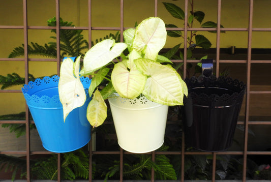 hanging plant-containers-for-window-online