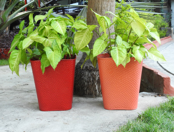 big-plant-pot-in-orange-colour-online