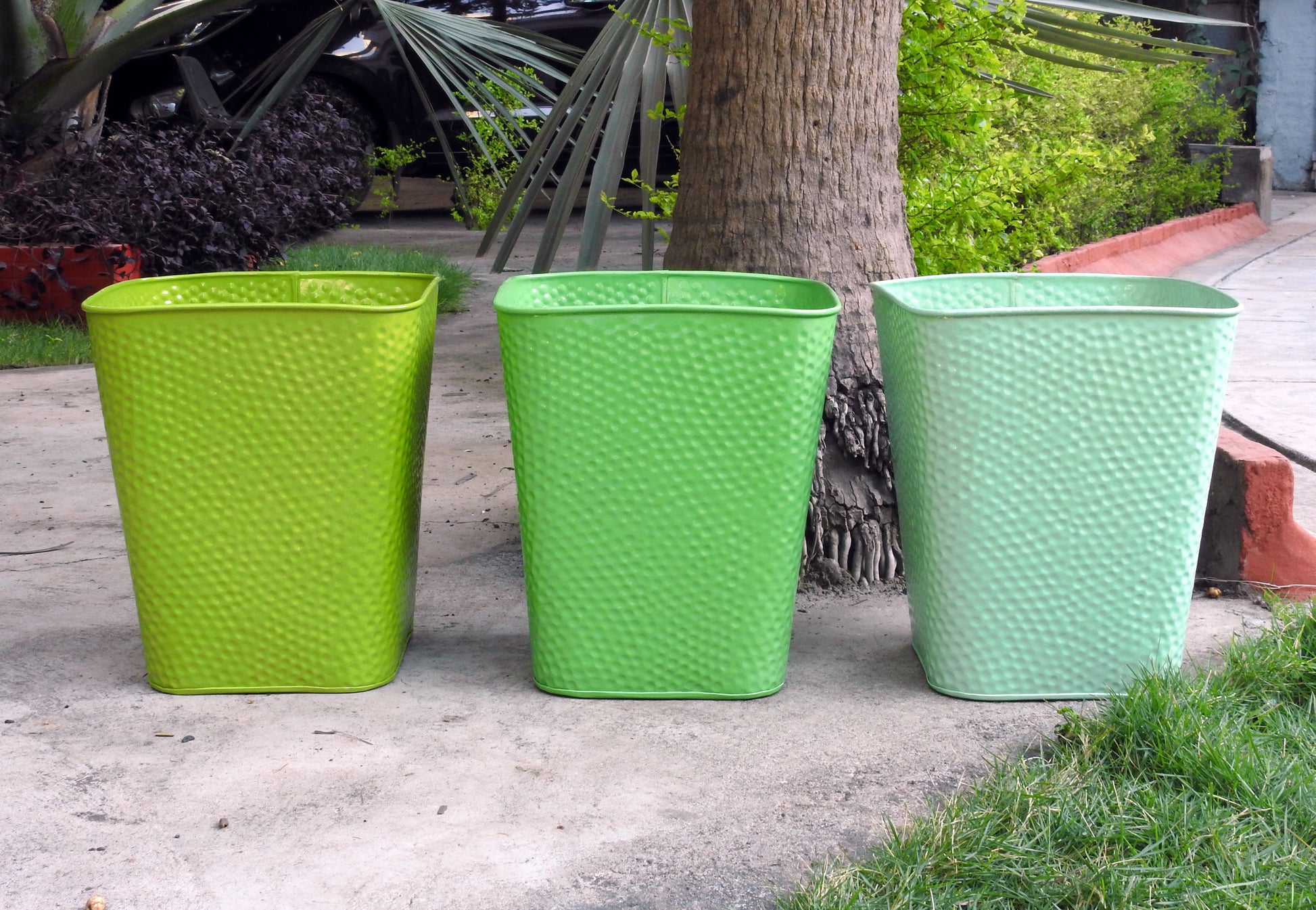 house-plant-containers-with-drainage-holes-online-India