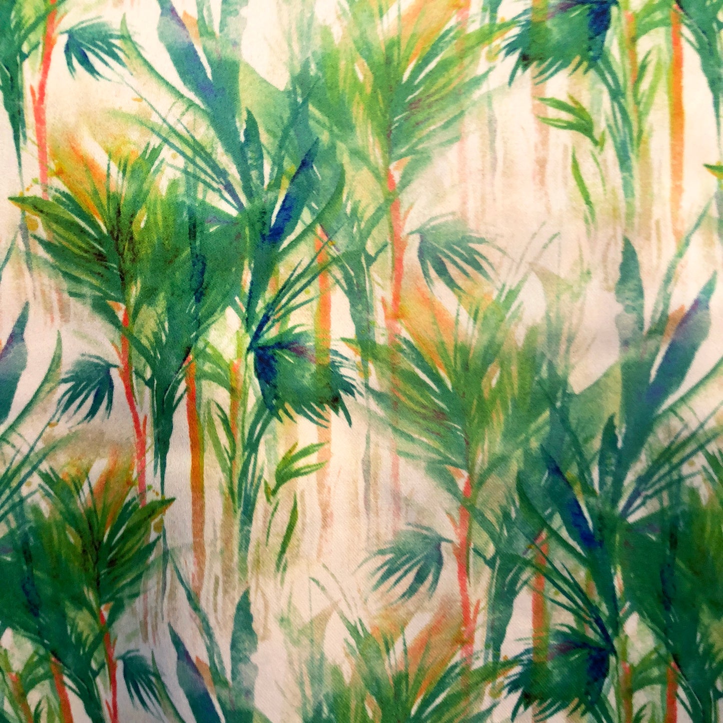 Tropical Forest Top