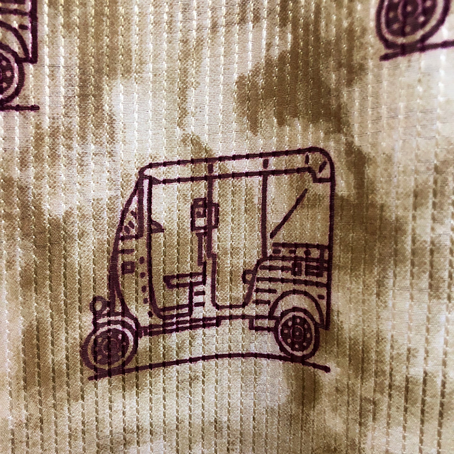 Tusser Kantha Autorickshaw Print